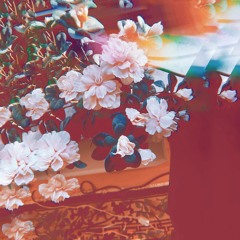 Colonia Chelonia (Shokh Re-tape)