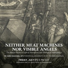 Neither Meat Machines nor Visible Angels | Ezra Sullivan, O.P.