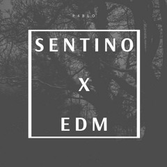 Sentino - Różowy Pył x House Music (P4blo Remix)