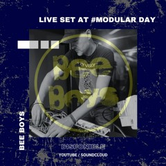 Beeboys Live Act at Modular Day