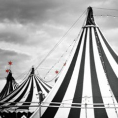 Circus