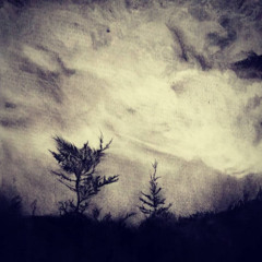 Let Me Shine (I Still Have Nope)