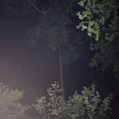 lofi?