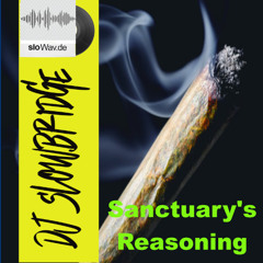 Sanctuary's Reasoning