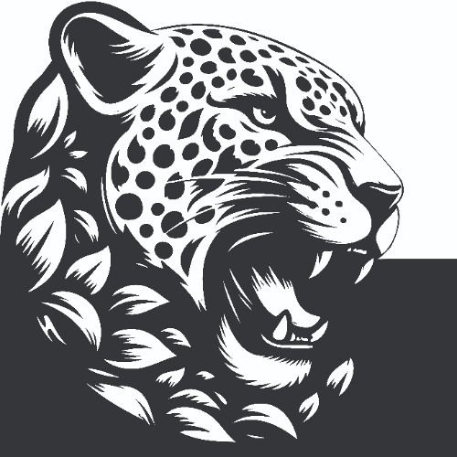 nadie nos va a parar | v.a. | bx004.