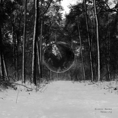 Tenacity (Original Mix)