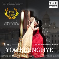 Felix GodeFroid Etude de Concert