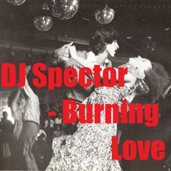 DJ Spector - Burning Love