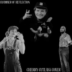 Chamber of Reflection but hyperpop