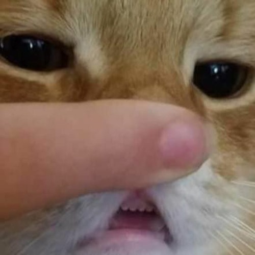 Time Machine Ft. ツバサ千代 MELLOW