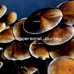 Intrapersonal Journey / NA•RO Remix