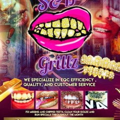 S&B GRILLZ / HONDA & ACURA BOYS