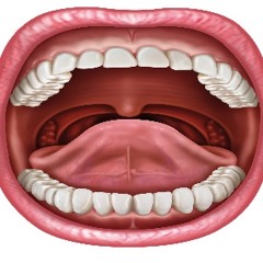 Curb The World Ft. Stig (Remix)