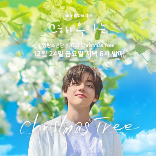Our Summer(Christmas Tree) Taehyung Acapella Version Our Beloved Summer OST '그 해 우리는' by BTS V