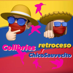 Colibríes