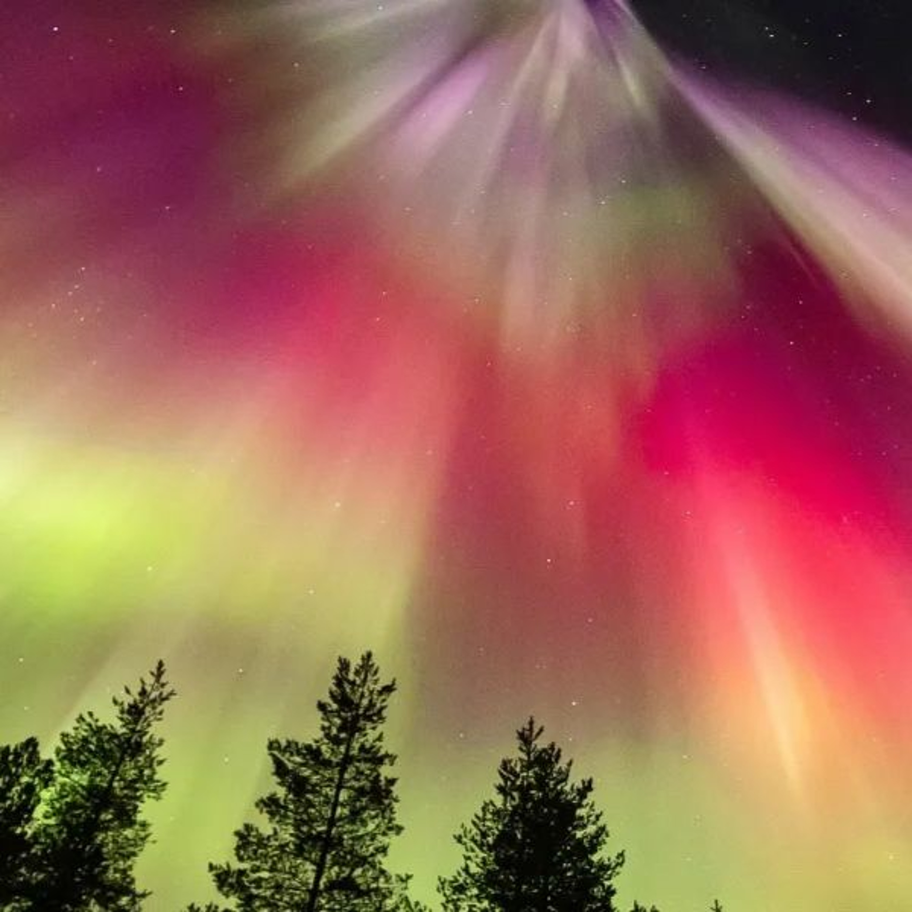 Guy J feat. Aurora - Aurora (World Pulse Remix) thumbnail