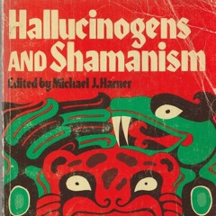 Camisa De Hierro Dj set enero 2024 at Ercilla estudios