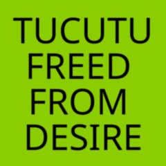TUCUTU | Freed From Desire | Sandstorm (Axwell Mashup) (2024 Version)