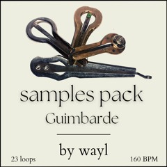 (Demo) Buy Samples Pack Guimbarde  (23 loops 160BPM)