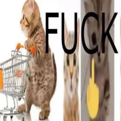 poranfore mode