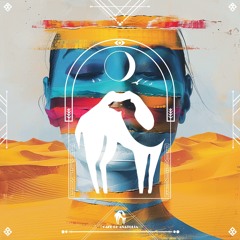 persian downtempo
