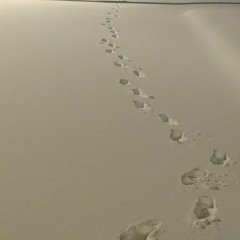 you have nothing to be sorry for