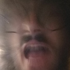 Go