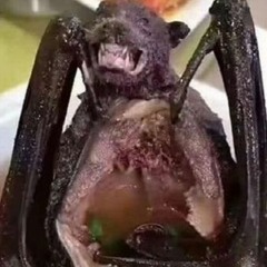 CORONA GADAK OBAT 2020 [RANDI x FIQRI x Z1KSAL]