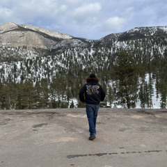 no deal - Oml Bagsson