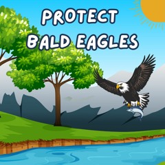 Protect Bald Eagles