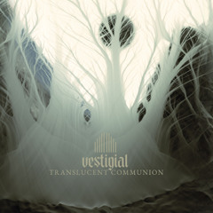 Vestigial - The Void - Excerpt