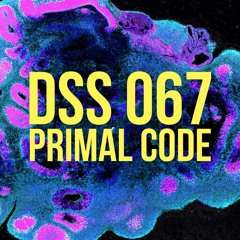 DSS 067 | Primal Code
