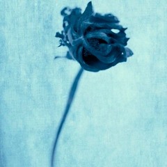 WL//WH - AUGUST 2025 // Shoegaze /Dream Pop /Psychedelic /Indie Pop