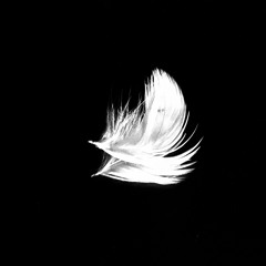 Glider (preview) (Buy=Free Download)