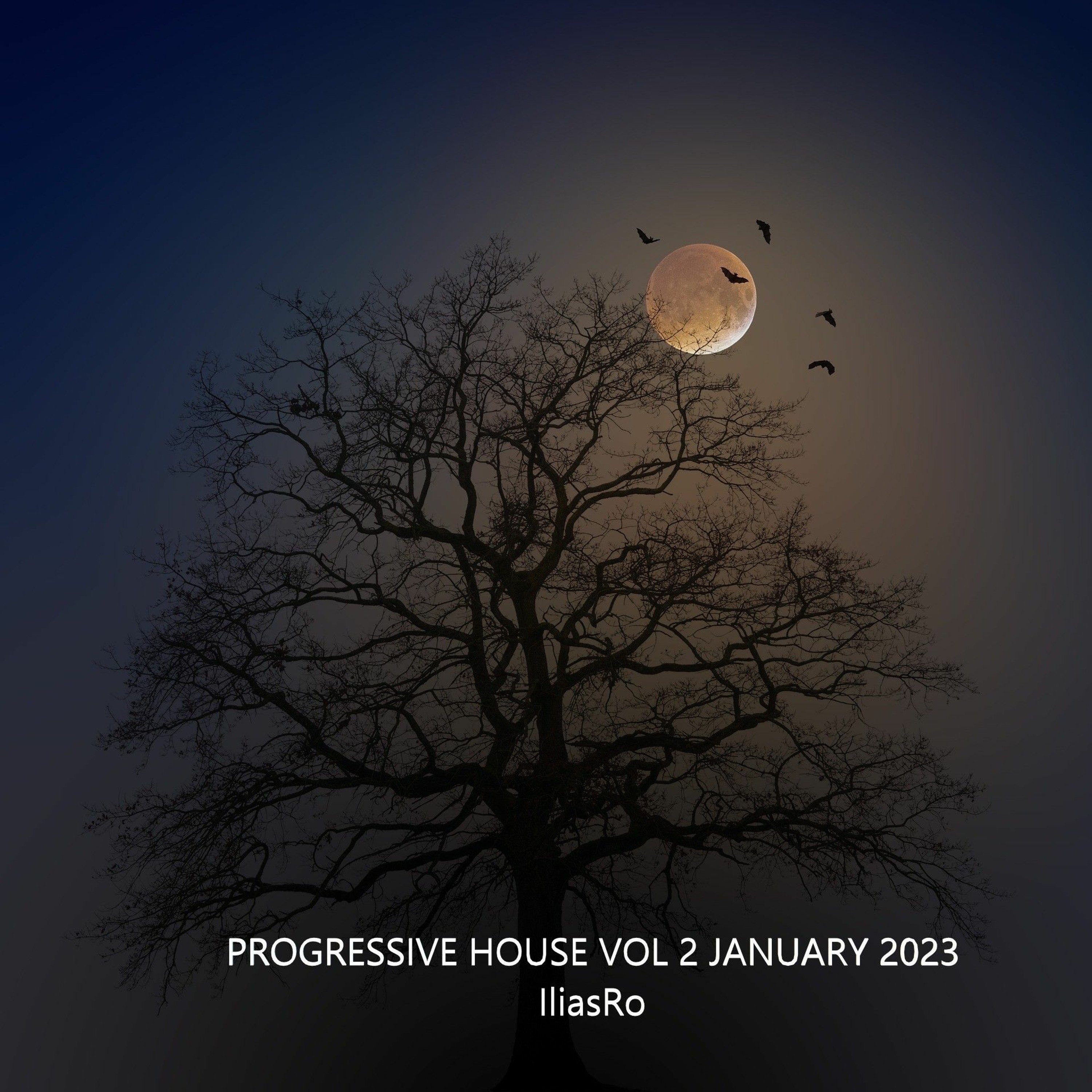 Progressive House Vol 2 Jan 2023 By IliasRo episode artwork