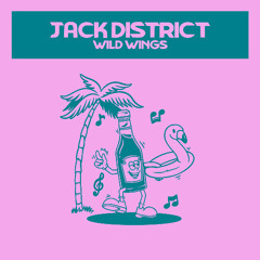PREMIERE: Jack District - Wild Wings [Mole Music]