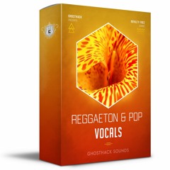 Reggaeton & Pop Vocals