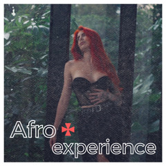 AFRO EXPERIENCE