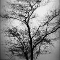 Trauma_лун_и_Заблеск_Японская_идентичность