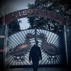 TiM TASTE @ Sisyphos, Hammahalle 17.10.2025