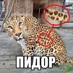 𝚂𝙴𝚁𝙴𝙽𝙰𝙳𝙴 𝙾𝙵 𝚁𝙴𝙳 𝙼𝙾𝙾𝙽 𝙾𝙵 𝙰𝙳𝚄𝙻𝚃𝙷𝙾𝙾𝙳 𝙷𝙰𝚁𝙳𝚃𝙴𝙺𝙺 𝚁𝙴𝙼𝙸𝚇