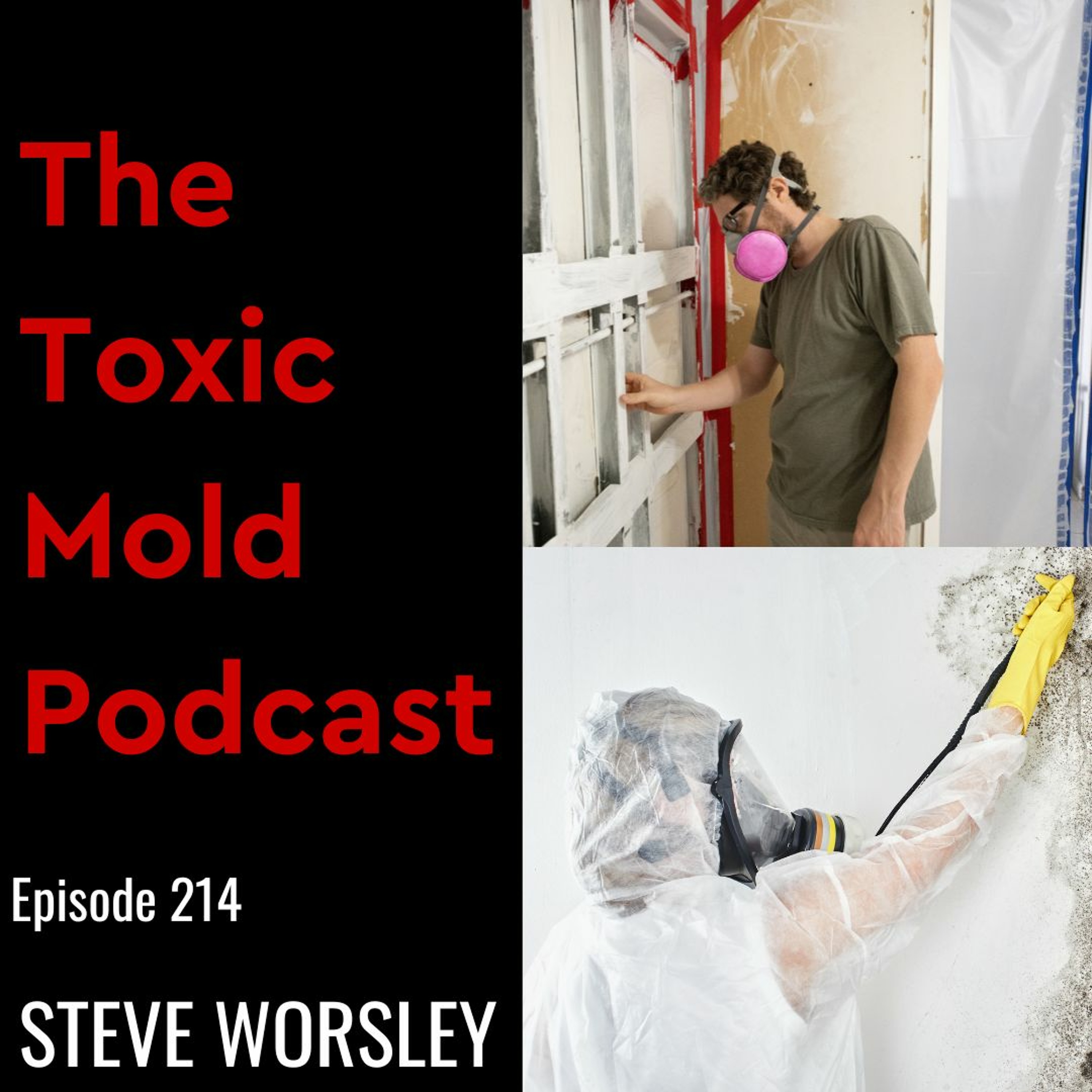The Toxic Mold Podcast