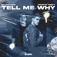 Bluckther & Martin Trevy - Tell Me Why