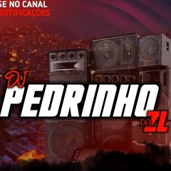 DJ PEDRINHO DA ZL- MONTAGEM DO RD (MC RD).mp3