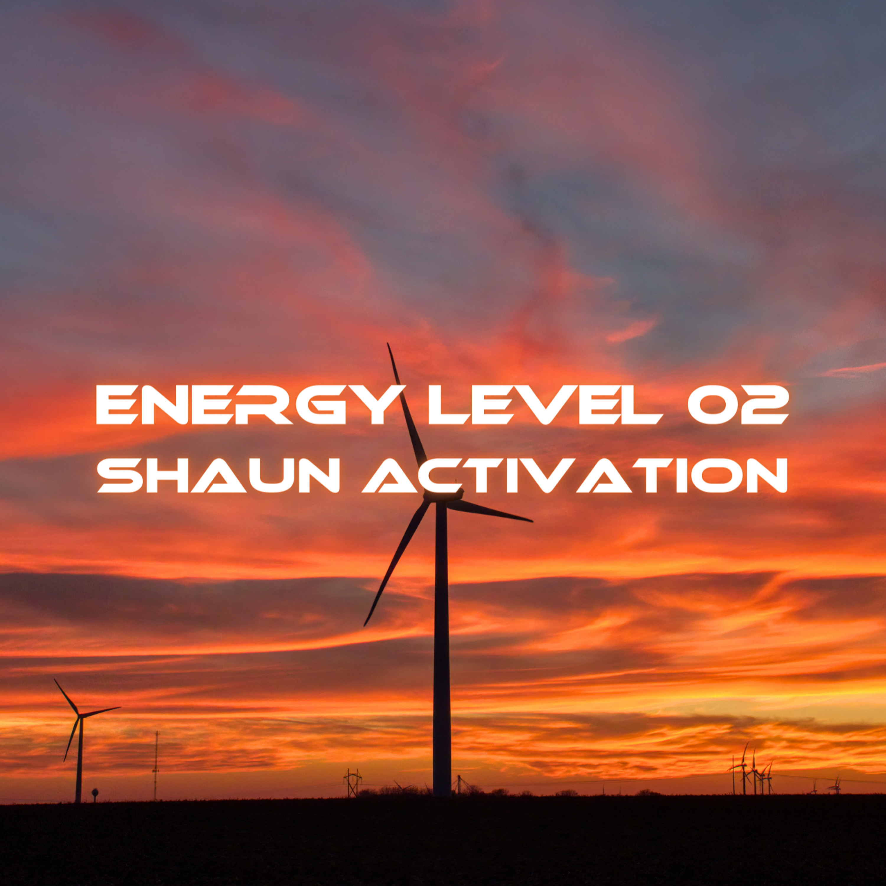 Shaun Activation