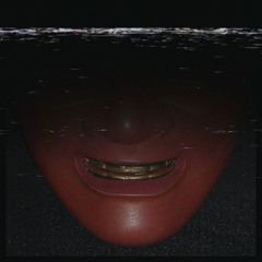 Fugitive (with Crh)
