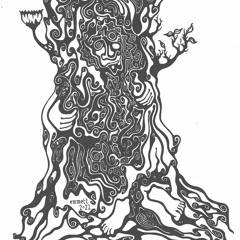 Sunshine Peaking Through The Blinds