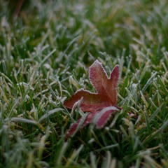 Prelude and Fugue in D minor