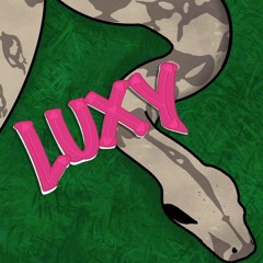 boa constrictor
