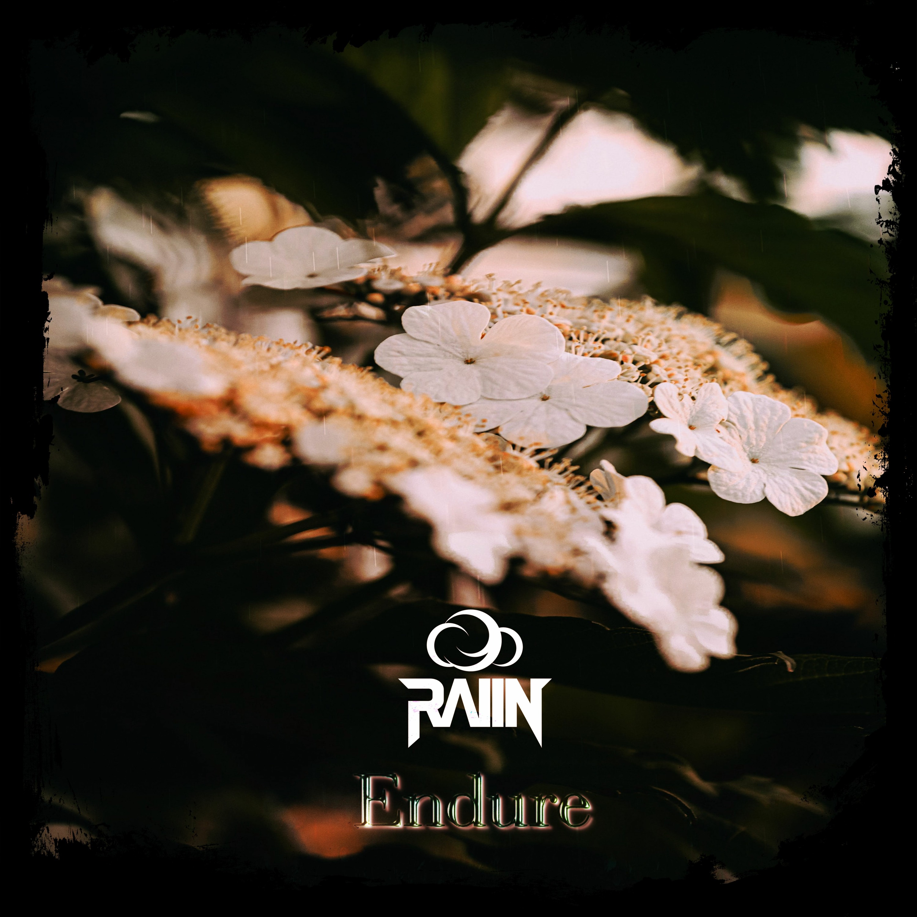 Endure episode artwork